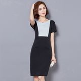 Ladies Elegant Dress Fashion Career Dresses