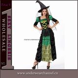 Wholesale Halloween Witch Fancy Dress Costumes Suits (5895)