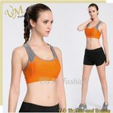 Hot Ladies Sportwear Yoga Bra Yoga Shorts Set