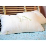 Hypoallergenic and Dust Mite Resistant Comfortable Memory Foam Pillows