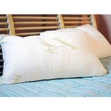 Hypoallergenic and Dust Mite Resistant Comfortable Memory Foam Pillows