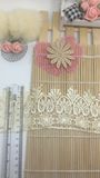 Swiss Lace Embroidery Nylon Lace Polyester Lace for Garments Accessory and; Home Textiles