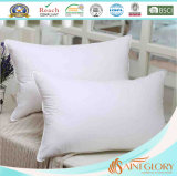 Soft Duck Feather Down Pillow Inner Comfortable Down Pillow