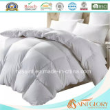 Classic White Goose Down Quilt Duck Feather and Down Comforter with Gusset