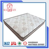 Langfang Factory Double Size Compress Roll Pack Pocket Spring Mattress