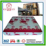 Tight Top Best Price Continuous Spring Mattress Made in China