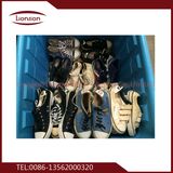 High Quality Popular Sports Used Shoes