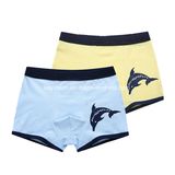 Kids Underwear, Boys Underwear, Boy's Brief, Boy's Boxer