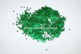 Bright Glitter Powder for Decoration (GT-006)