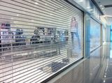 Polycarbonate Commercial Crystal Garage Door/PC Roller Shutter