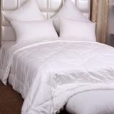 Sateen Fabric Silk Duvet Luxury Home Used Silk Quilt