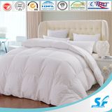 2015 Hot Sales Fashion Design Cotton Quilt/Comforter/Duvet China Supplier