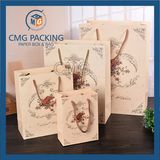 Carton Printed Matt Gift Paper Bag (CMG-MAY-057)