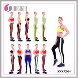 Multicolor Striped Pants Stitching Yoga Fitness Leggings