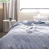 Best Selling Products Air Condition Quilt Modal Cool Summer Quilt