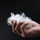 2-4cm Washed White Goose Feather