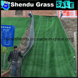 Single Backing Cheap Artificial Grass Carpet 10mm