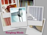 Roller Blind and Vertical Blind