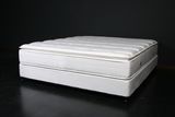 2017 Classic Design Furniture - Bed of Good Companion - Spring Mattress