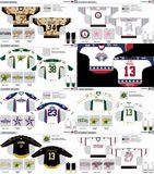 Customized American Hockey League Texas Stars Hockey Jersey