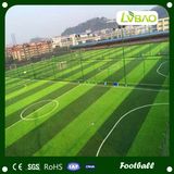 Soccer Sport Fields Fake Synthetic Carpet Artificial Grass for Football Stadium