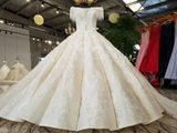 Aolanes New Arrival Trendy Wedding Dresses