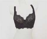 European Style New Design Sexy Bra in Low Price (CS9929)