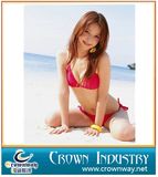 Ladies Fashion Sexy Bikini / Swimming Wear / Beach Wear