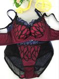 Fashion Sale Women Sexy Lace Underwears Bra Sets