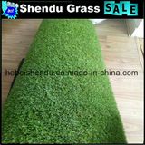 China Grass Carpet 23mm with 13650tuft/M2 Density