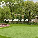 Simulation Turf Carpet for Garden or Landscape (MSD-35)