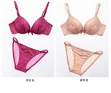 Fashion Comfort Bra and Panty Women Lingerie (CSN423)