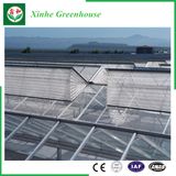 Agriculture Multi Span PC Sheet Green House/Grow Tent for Sale