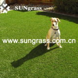 Artificial Lawn Carpet for Pets or Landscape (SUNQ-SA)