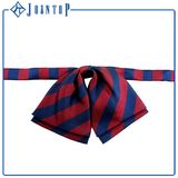 Polyester Mens Jacquard Stock Woven Bowtie