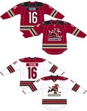 Customized American Hockey League Tucson Roadrunners Hockey Jersey