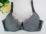 Manufacture OEM Indian Bra Good Looking Trimmed Bra