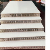 High Gloss Gel-Coat FRP Prelaminated PP Honeycomb Panels