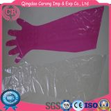 Animal Use Disposable Long Length Gloves