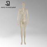 Female Full Body Stand Shape Lucid Plastics Mannequins