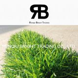 25mm Decoration Carpet Synthetic Grass /Artificial Turf/Artificial Grass