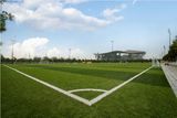 Anti-UV Wear-Resisting Artificial Carpet Turf for Football/Soccer Grass