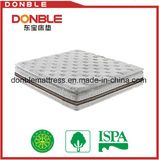 Elegant Europe Dessign Pillow Top Mattress