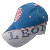 Top Quality Baseball Cap with Nice Logo Bb231