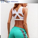 Wholesale Women Hot Design Yoga Bra Workout Clothing Custom Ladies Sports Bra