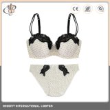 OEM Ladies Brassiere Underwear Lingerie Set