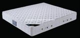 Bamboo Mattress with Pillow Top (B305)