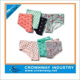 Cartoon Teen Girl Panties Underwear