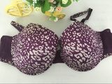 Europe Plus Size Big Size Girls Womens Hot Bra Sex Images Sexy Underwear