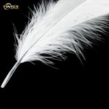 High Quality White Duck Down & Feather